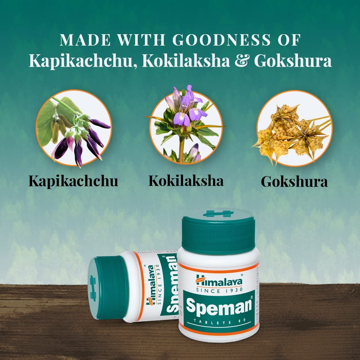 Himalaya Speman Tablets