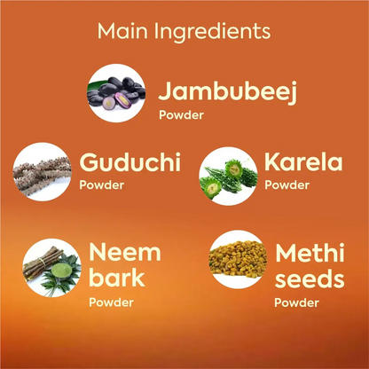 Herbal Hills Ayurveda Dia Care Churna