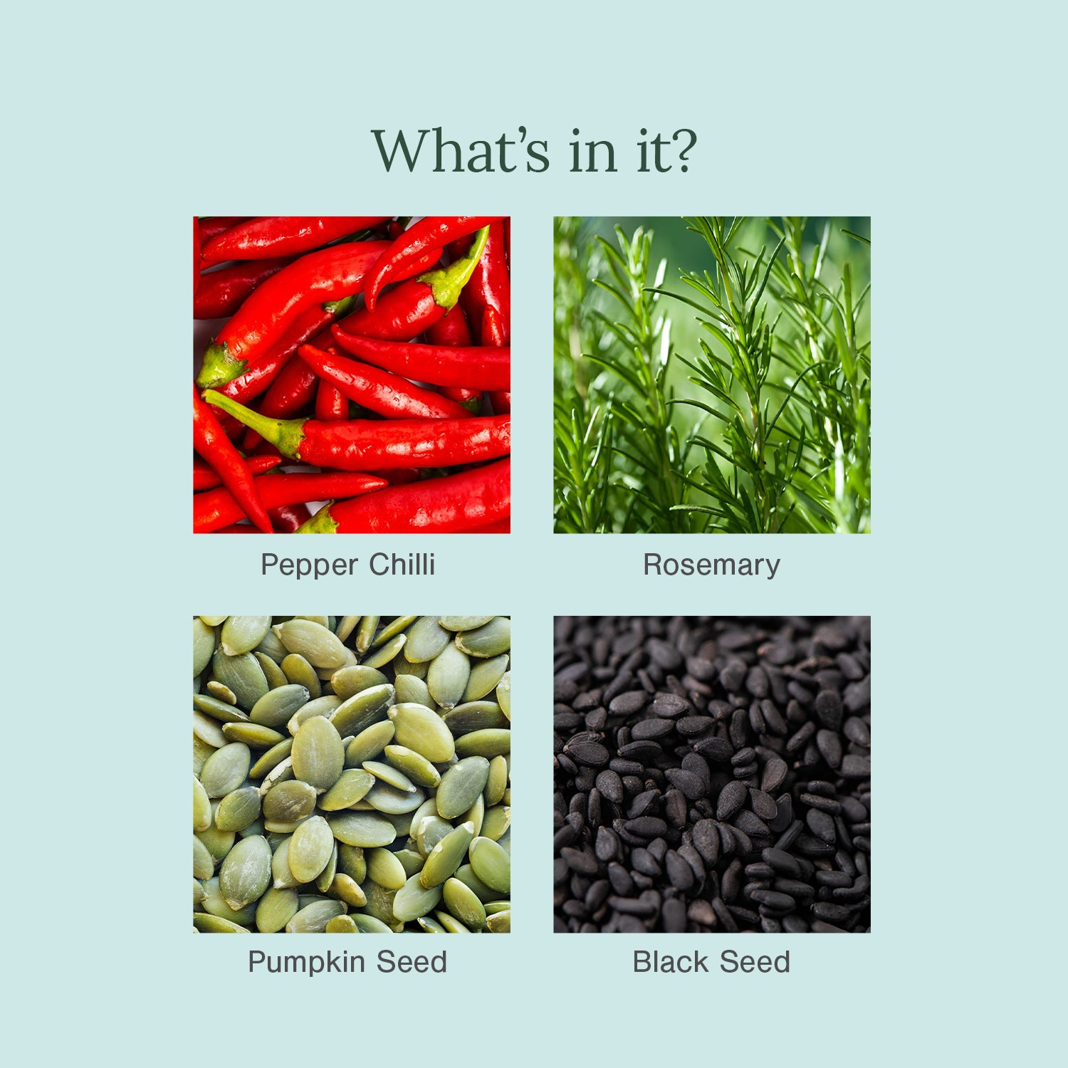 Juicy Chemistry Chilli Horsetail and Blackseed Hair Oil