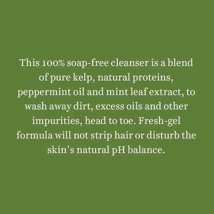 Buy Biotique Bio Sea Kelp Protein Hair & Body Wash Genuine Soap Free from DrMediCart, Ship from India to USA