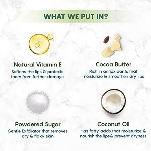 the moms co natural exfoliating lip scrub buy in usa