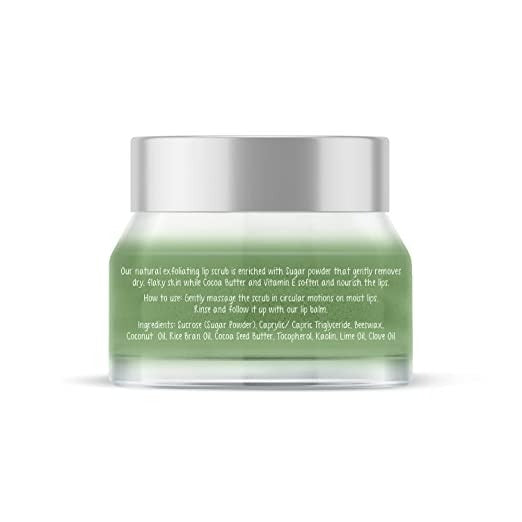 the moms co natural exfoliating lip scrub buy in usa