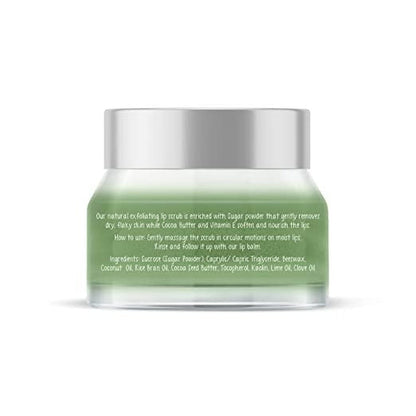 the moms co natural exfoliating lip scrub buy in usa
