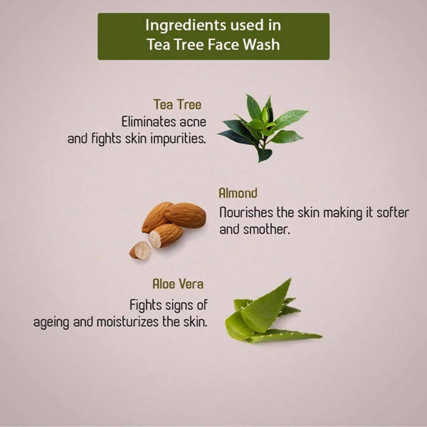 Ancient Living Tea Tree Face Wash - DrMediCart