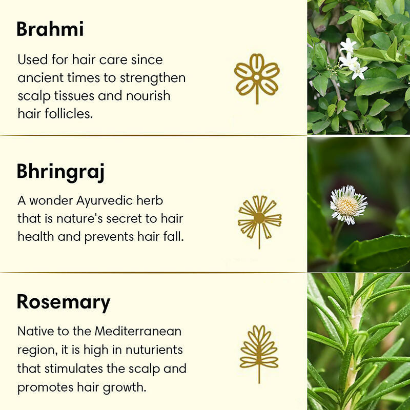 The Earth Collective Anti Hair Fall Hair Oil With Rosemary