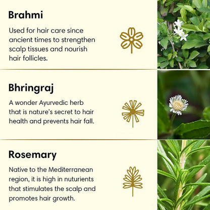 The Earth Collective Anti Hair Fall Hair Oil With Rosemary
