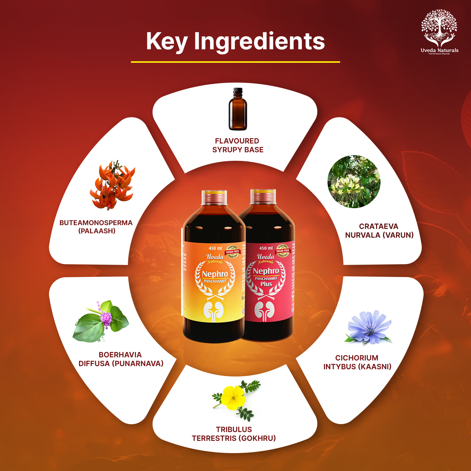 Uveda Naturals Nephro Panchamrit and Nephro Panchamrit Plus Sugar Free Combination