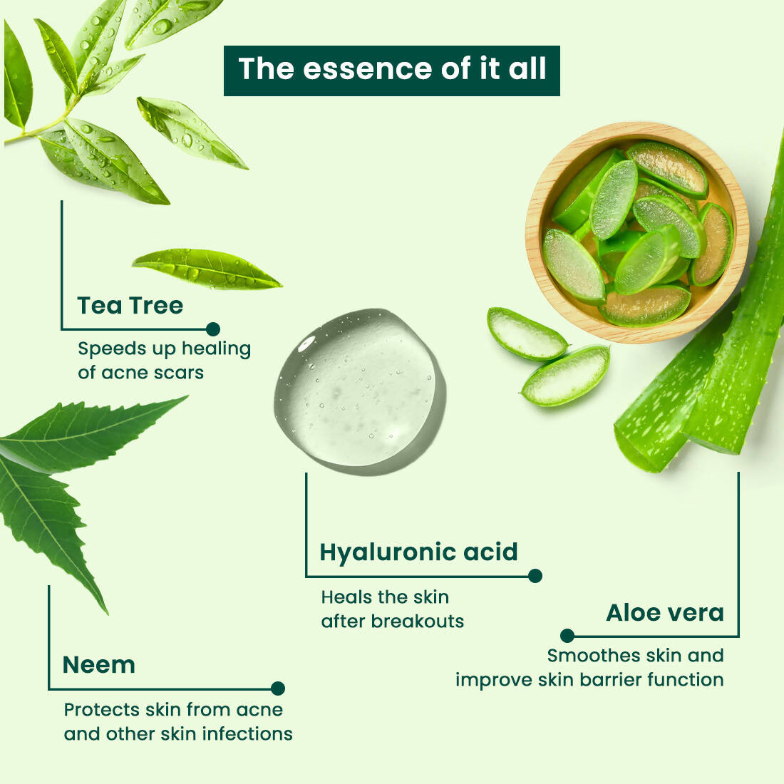 Vasu Healthcare Botanicals Tea Tree Face Serum - Drmedicart