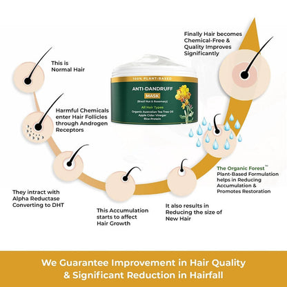 The Organic Forest Anti-Dandruff Hair Mask - Drmedicart