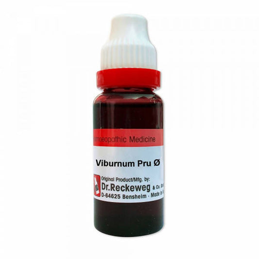 Buy Dr. Reckeweg Viburnum Pru Mother Tincture Q from DrMediCart, Ship from India to USA