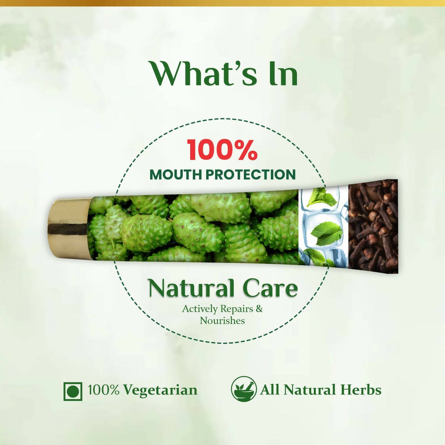 The Dave's Noni 24 Hour Oral Care Toothpaste - Drmedicart