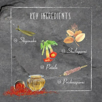 Timeless Beauty Secrets Indus Valley Organic Kumkumadi Beauty Oil - Drmedicart