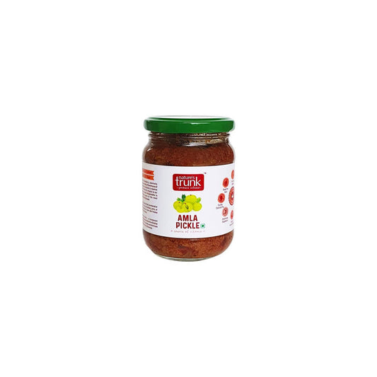 Buy Nature's Trunk Amla pickle from DrMediCart