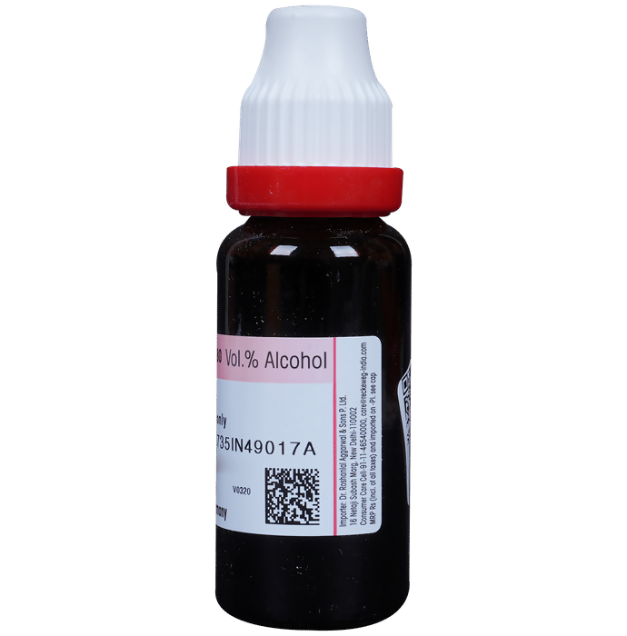Dr. Reckeweg Gymnema Syl Mother Tincture Q