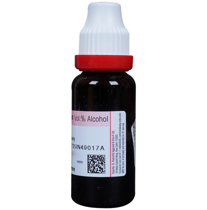 Dr. Reckeweg Gymnema Syl Mother Tincture Q