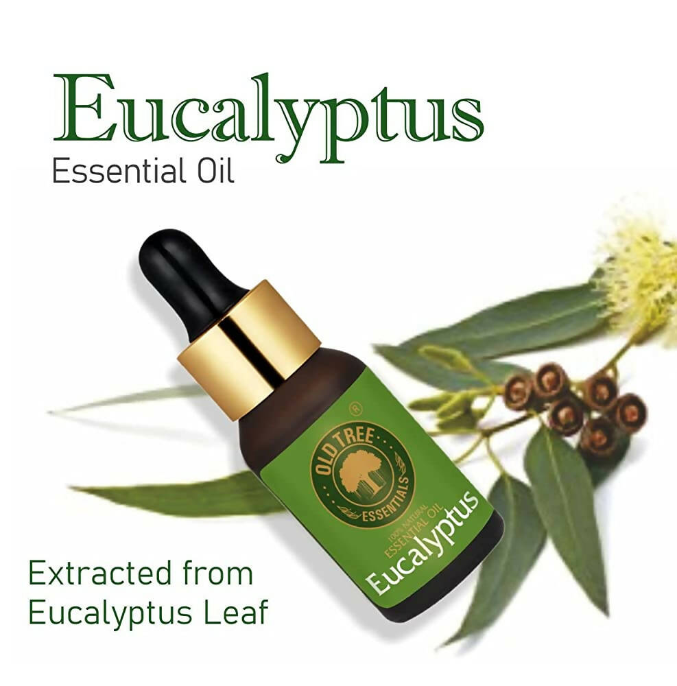 Old Tree 100% Pure Eucalyptus Essential Oil