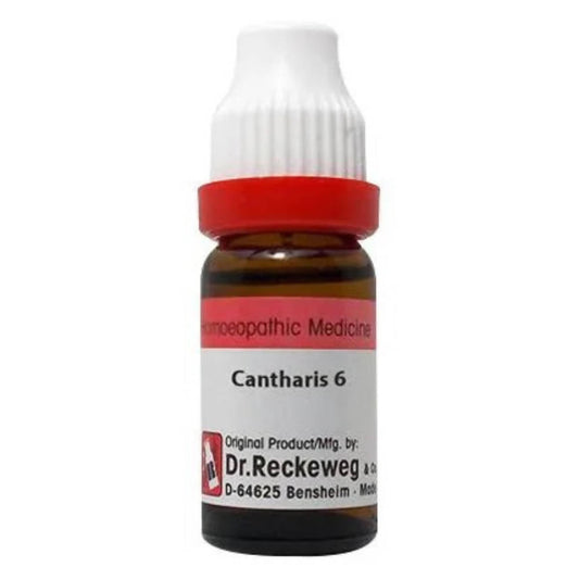 Buy Dr. Reckeweg Cantharis Dilution from DrMediCart, Ship from India to USA