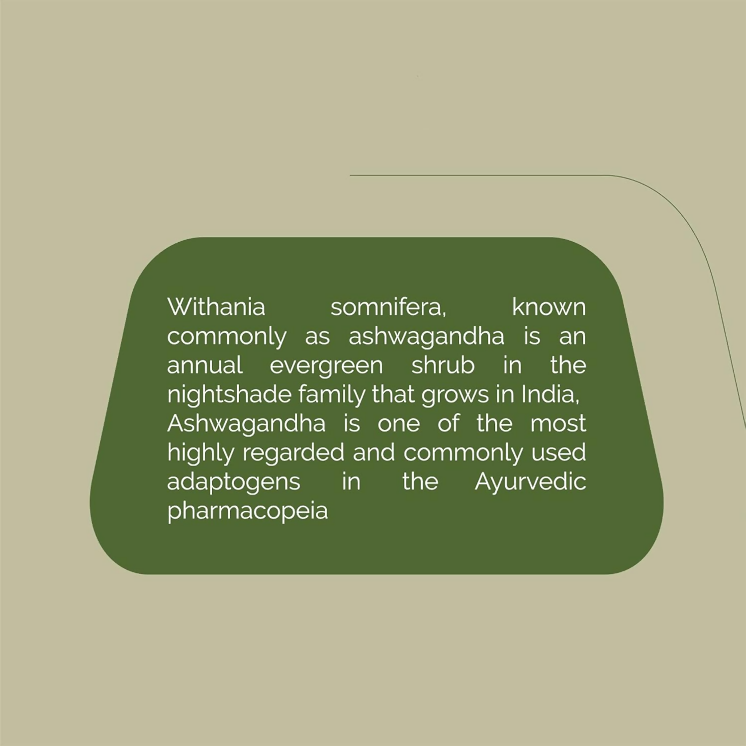 Rajah Ayurveda Ashwagandha Tablets
