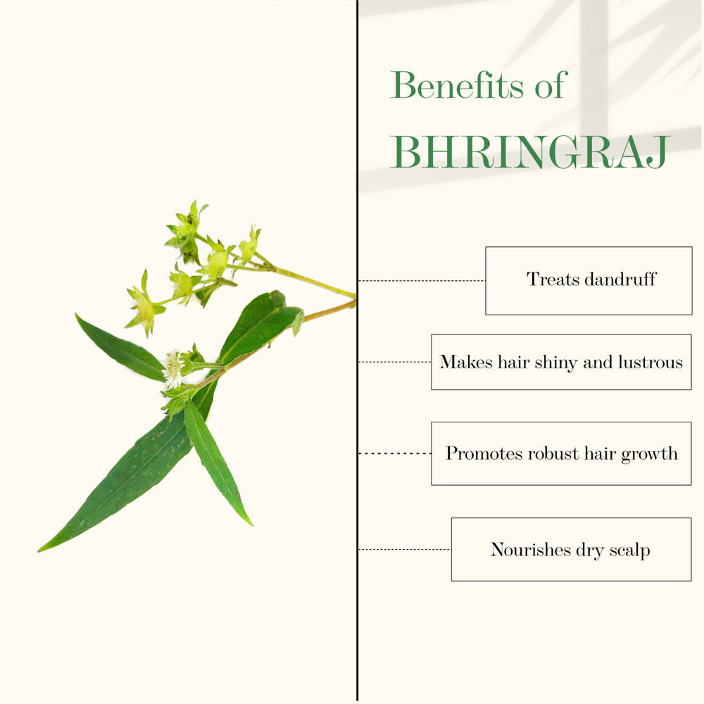 good vibes amla bhringraj strengthening hair oil buy in usa