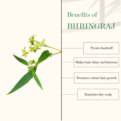 good vibes amla bhringraj strengthening hair oil buy in usa