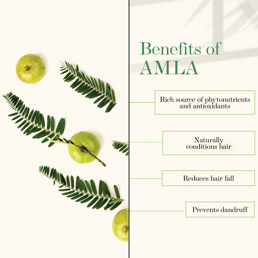 Good Vibes Amla & Shikakai Strengthening Conditioner
