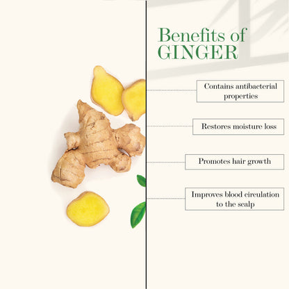 Good Vibes Anti Dandruff Conditioner - Ginger