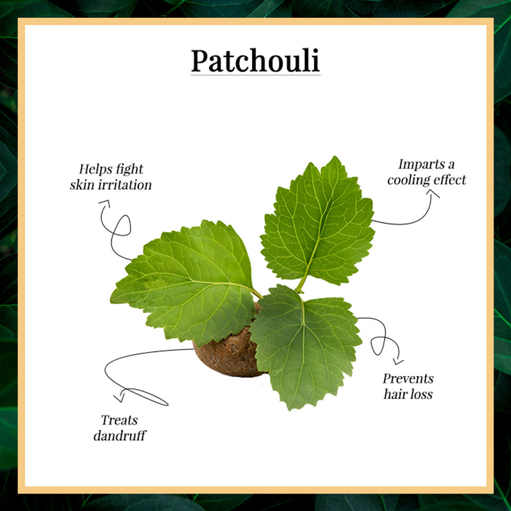 Good Vibes Genuine  Pure Essential Oil - Patchouli