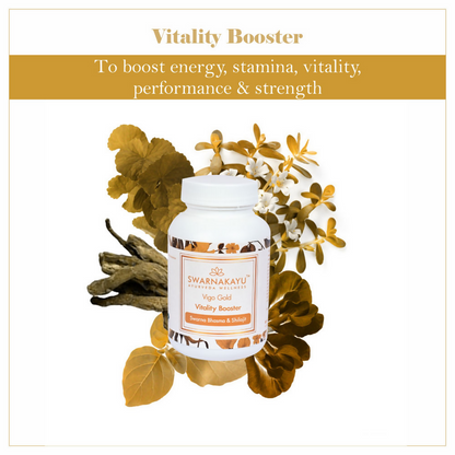 Swarnakayu Vigo Gold Vitality Booster Tablets With Swarna Bhasma & Sj