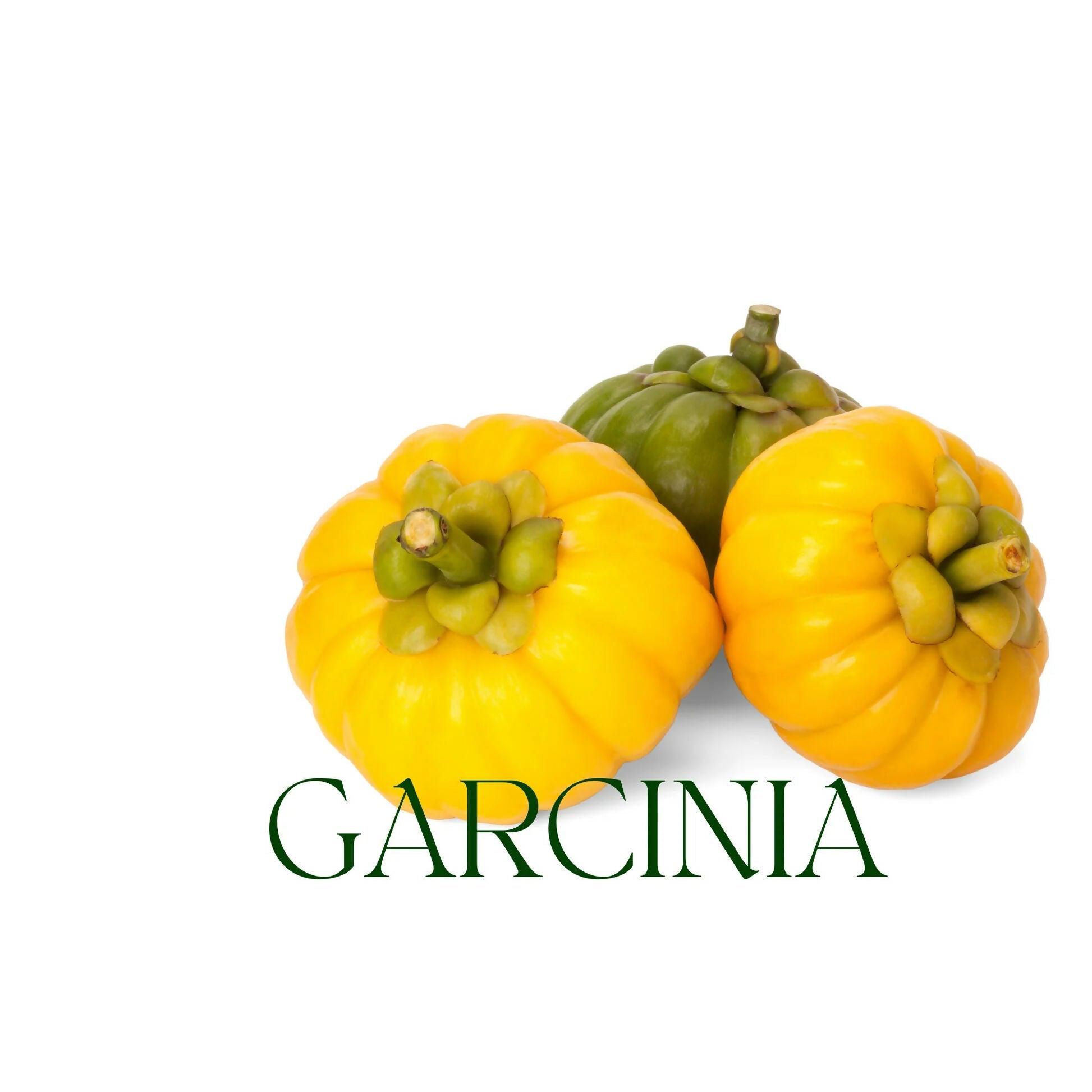 Oilcure Garcinia Cambogia Powder