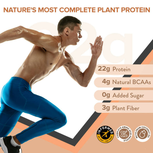 Buy Wellbeing Nutrition Superfood Plant Protein-Dark Chocolate Hazelnut from DrMediCart, Ship from India to USA