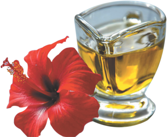 Buy Spag Herbals Hibiscus Herbal Hair Oil from DrMediCart, Ship from India to USA