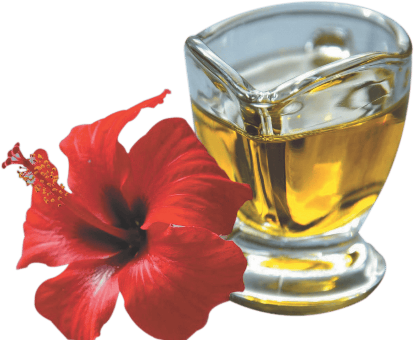 Spag Herbals Hibiscus Herbal Hair Oil