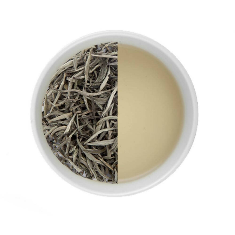 Tea Sense Silver Needle White Tea - Drmedicart