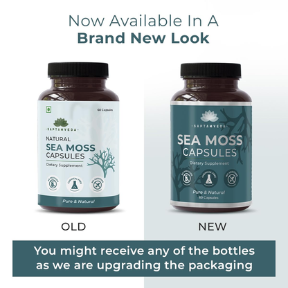 saptamveda irish sea moss 500mg capsules clearance sale 2025