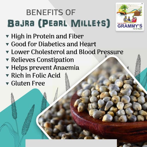 Grammy's Grammy Pearl Millet