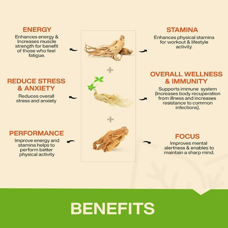 MyFitFuel Ginseng+ Triple Strength Capsules