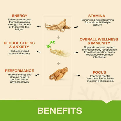 MyFitFuel Ginseng+ Triple Strength Capsules