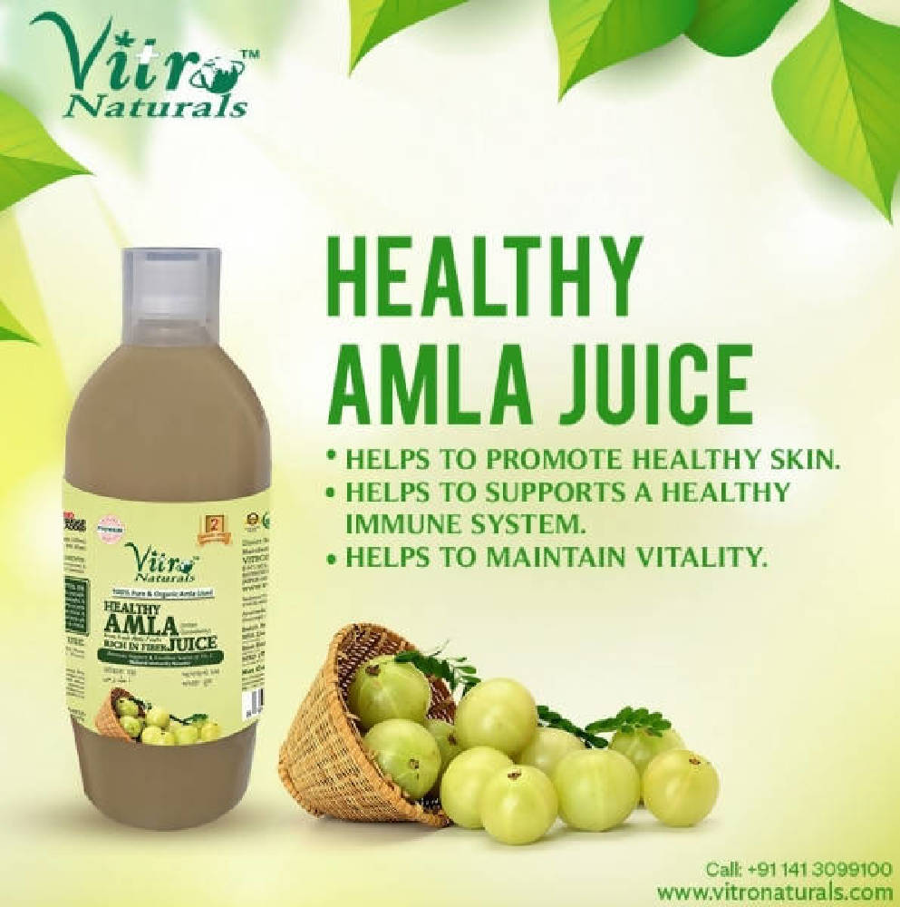 Vitro Naturals Healthy Amla Juice