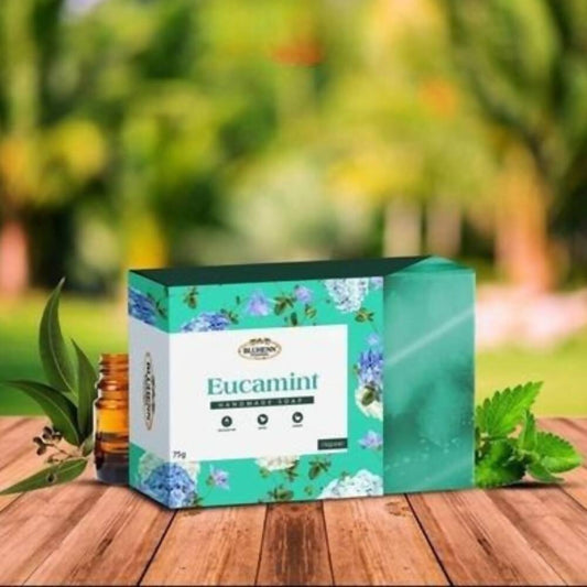 Buy Rhuto India Euca-Mint Loafah Soap from DrMediCart, Ship from India to USA