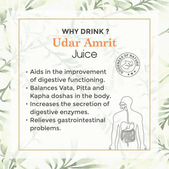 Four Seasons Udar Amrit Juice