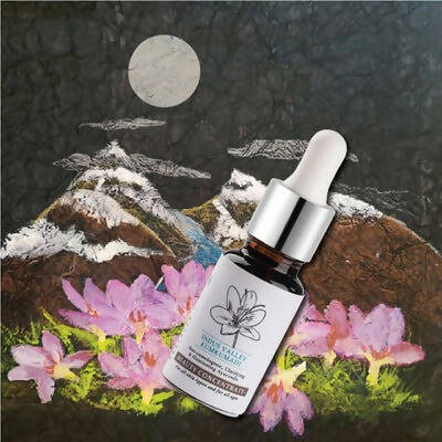 Timeless Beauty Secrets Indus Valley Organic Kumkumadi Beauty Oil - Drmedicart