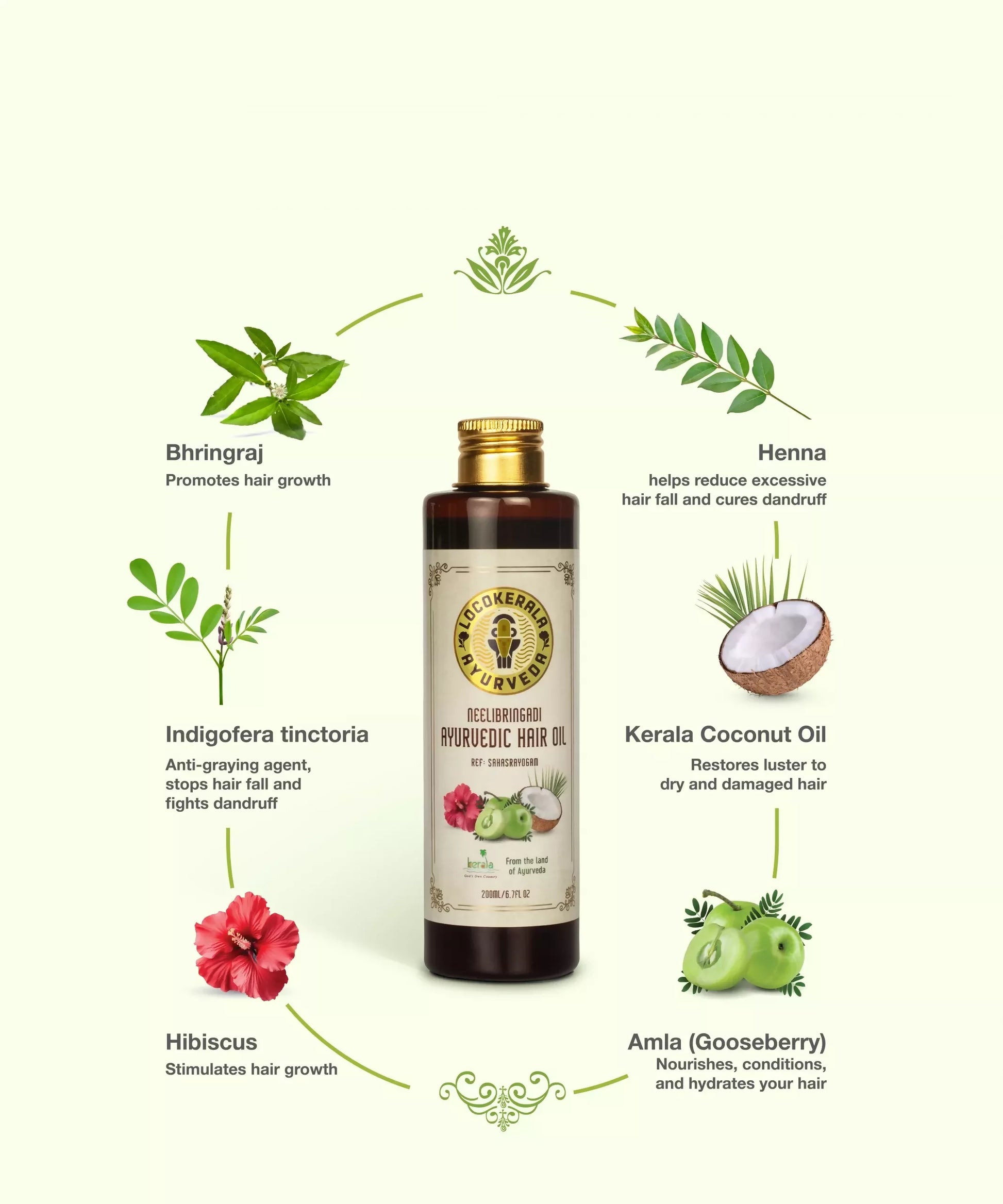 LocoKerala Neelibringadi Ayurvedic Hair Oil – For Healthy Scalp & Luxuriant Growth