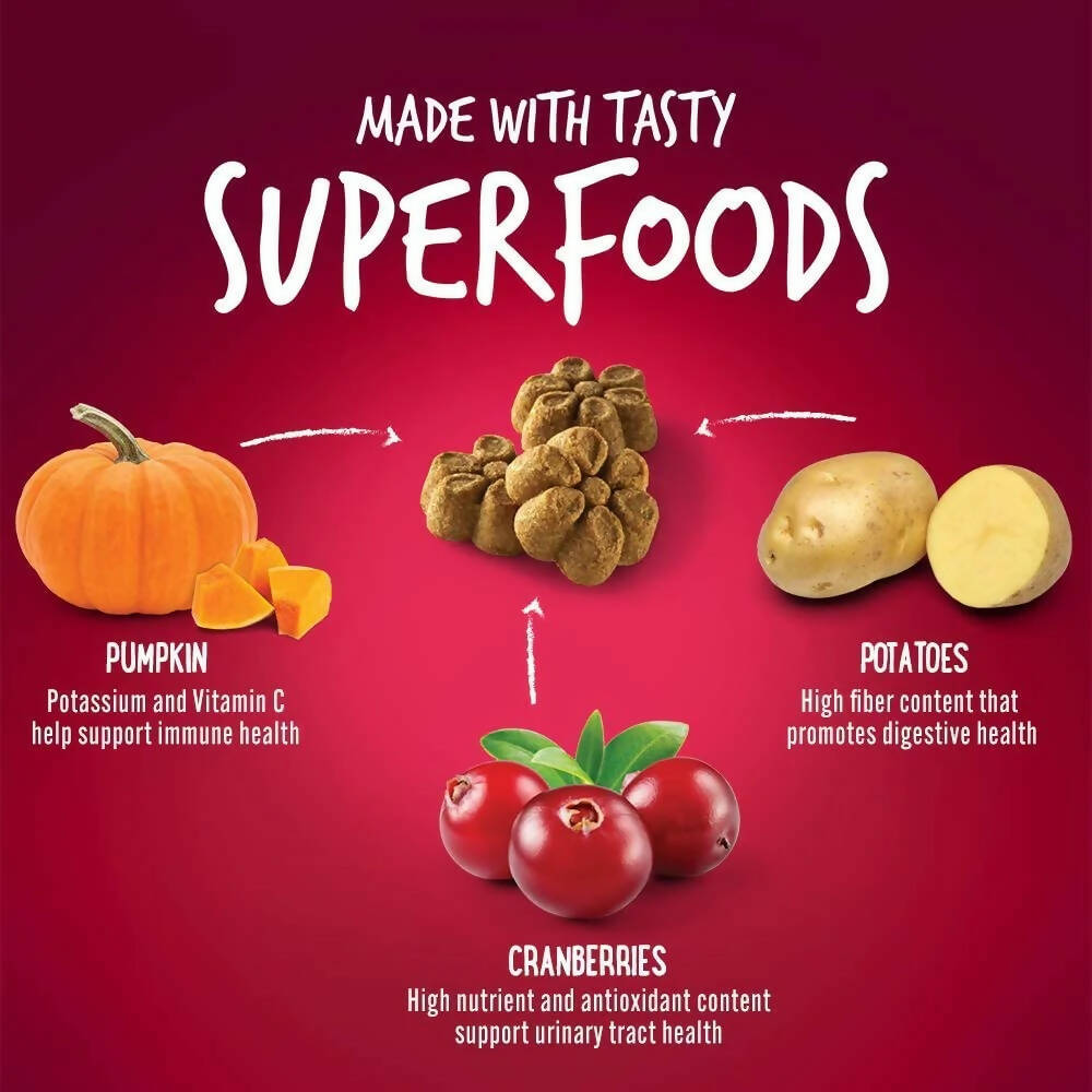 Fruitables Pumpkin And Cranberry Dog Treat