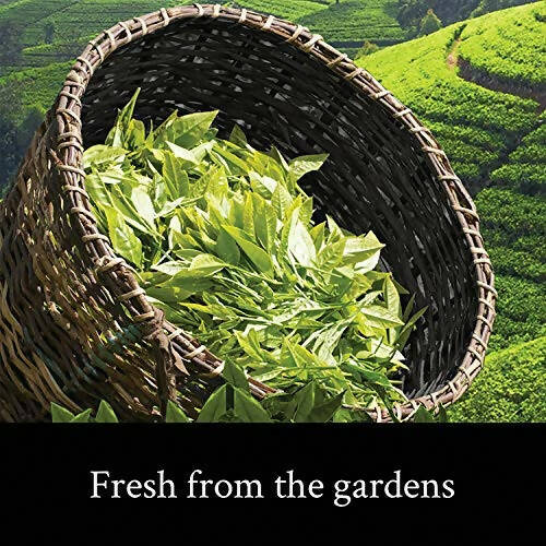 Teamonk Darjeeling Tapas Oolong Tea Leaves (75 Cups)