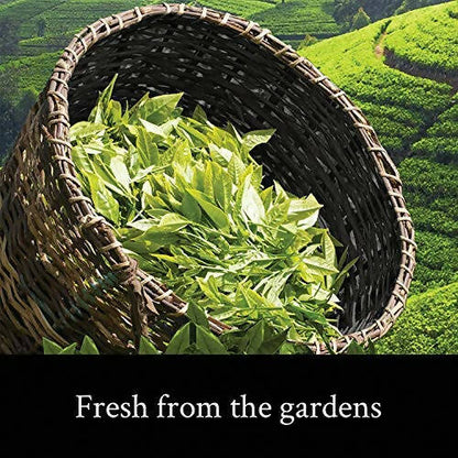 Teamonk Darjeeling Tapas Oolong Tea Leaves (75 Cups)