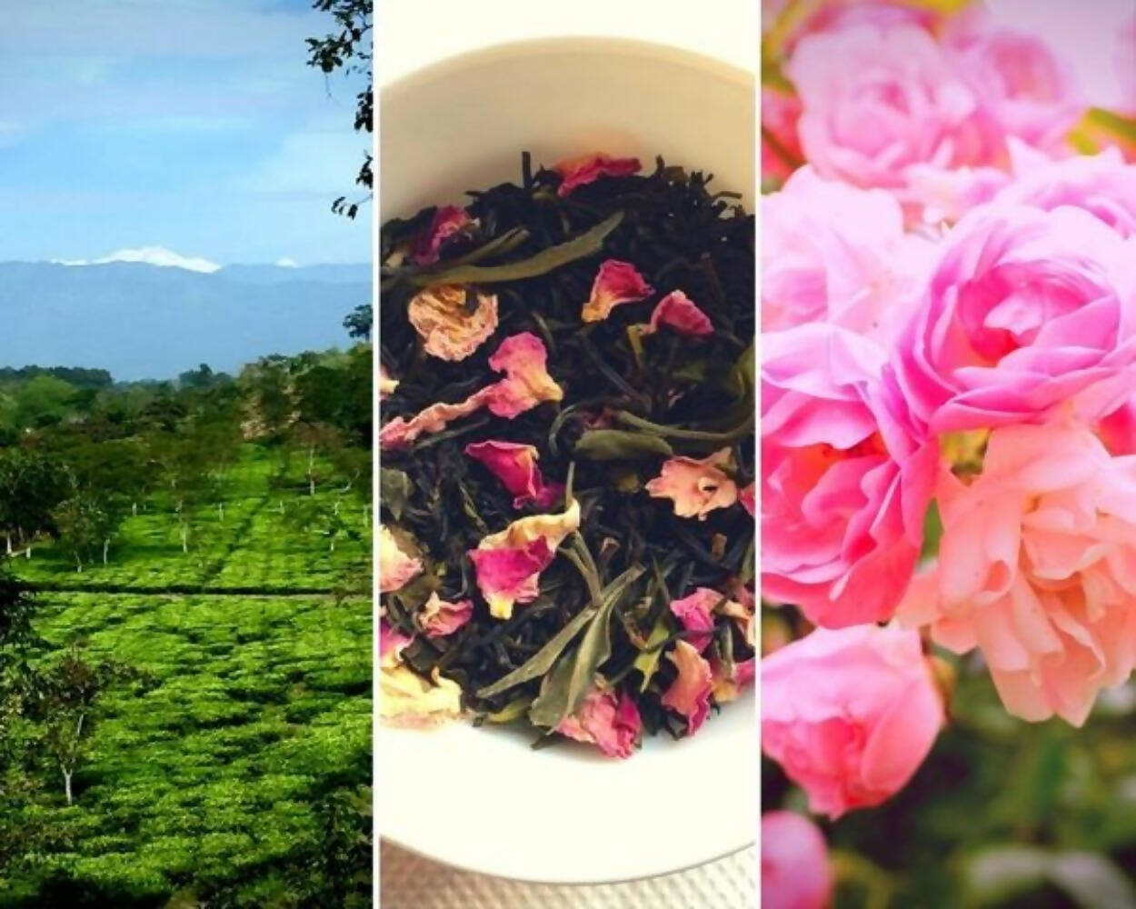 Nuxalbari Organic La Vie en Rose Tea