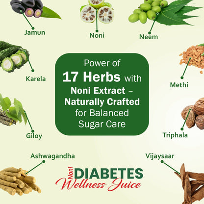 The Dave's Noni Diabetes Wellness Juice