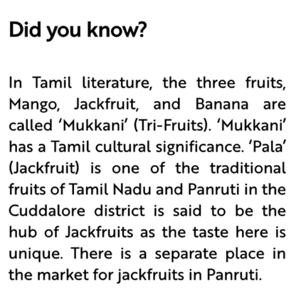 The Divine Foods - Jack Fruit Powder For Healthy Immune System