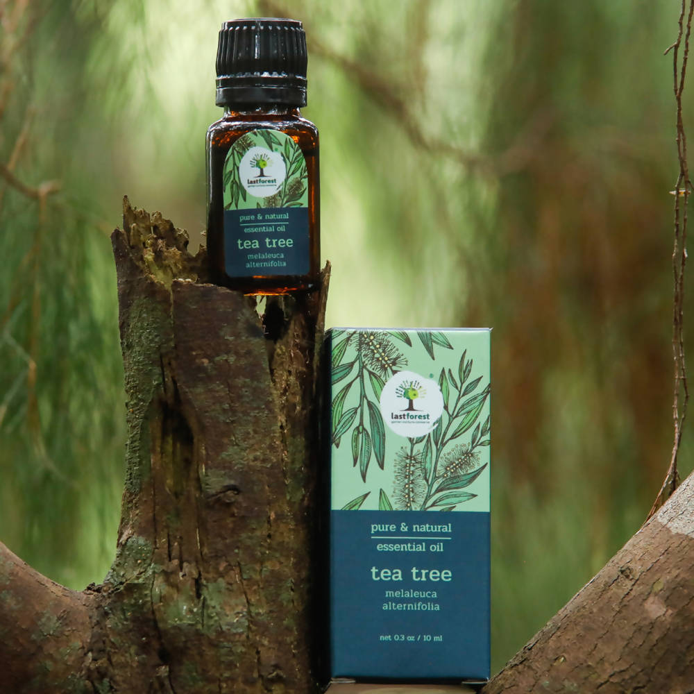 Lastforest Therapeutic Essential Oil Tea Tree