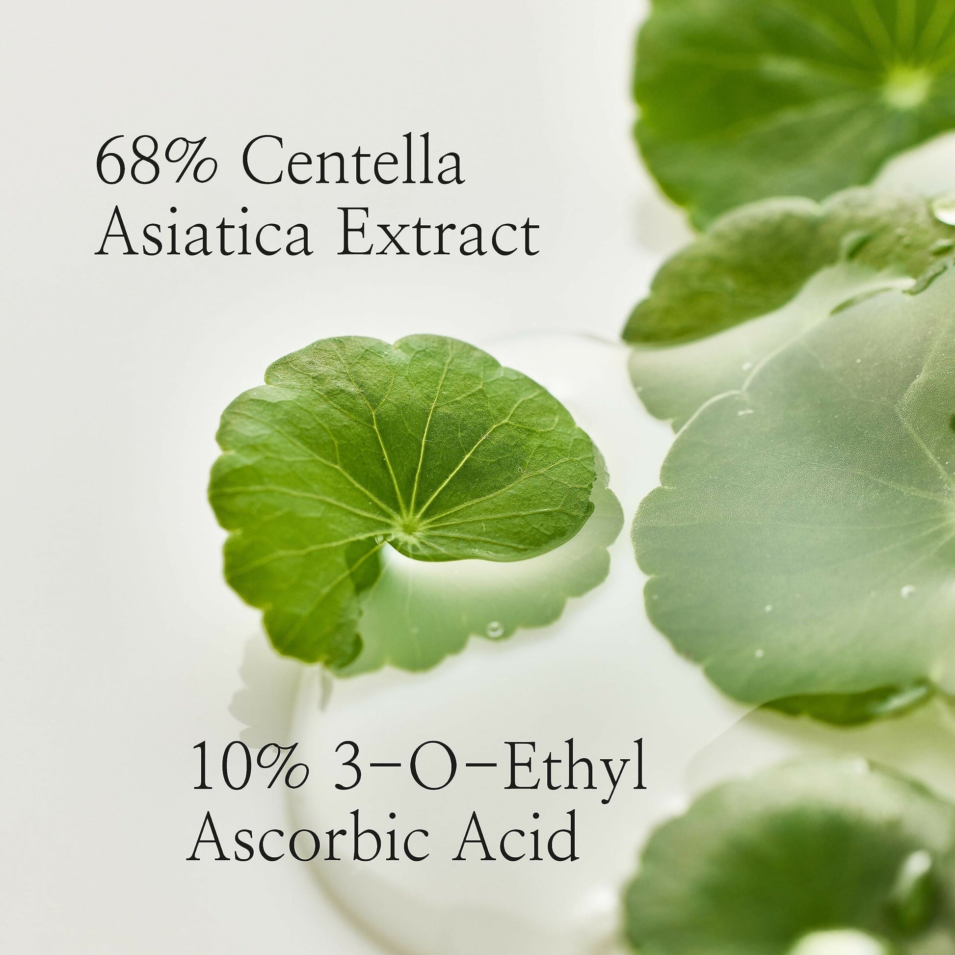 Beauty of Joseon Light On Serum Centella + Vita C - Korean Skincare